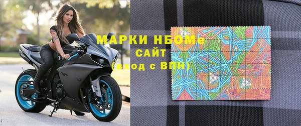 PSILOCYBIN Горняк