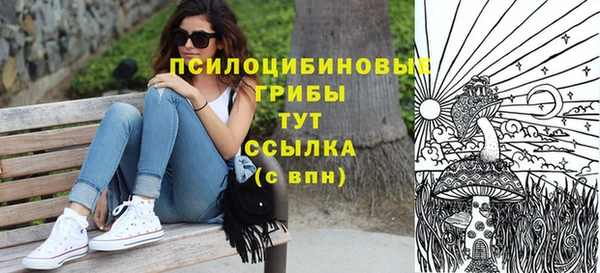 кокаин Гусь-Хрустальный