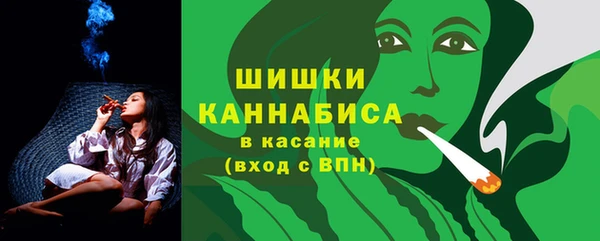 PSILOCYBIN Горняк