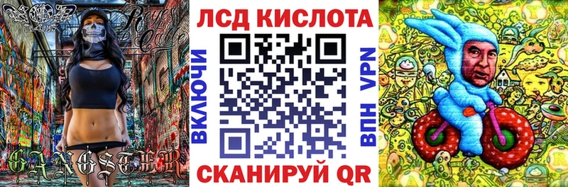 Купить закладки  Новотроицк  Марки N-bome 1,8мг 
