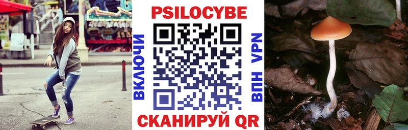 Купить закладки  Новотроицк  Галлюциногенные грибы GOLDEN TEACHER 